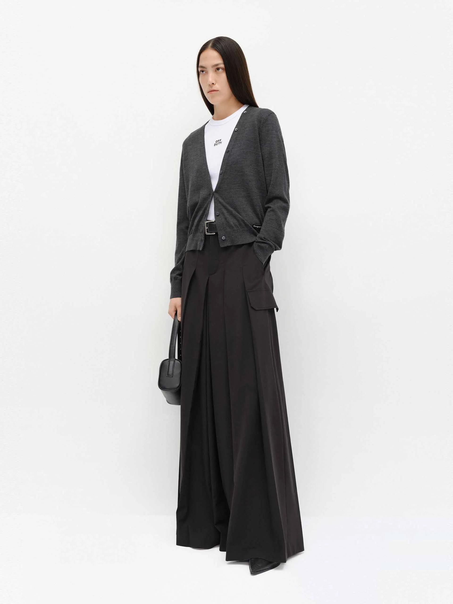 Wide Leg Pleated Pants